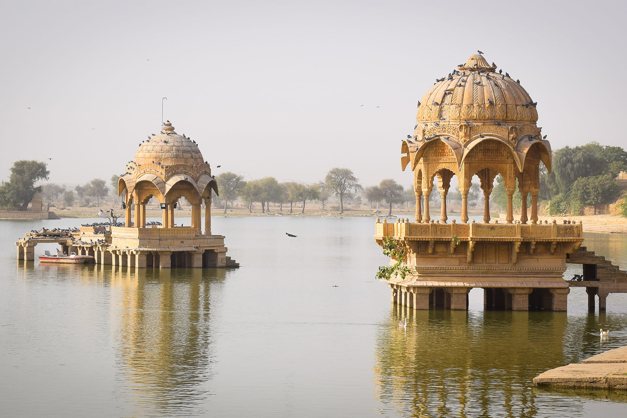 lotus-temple