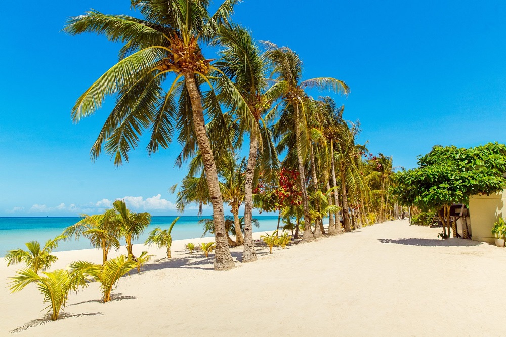 beach-view-with-trees