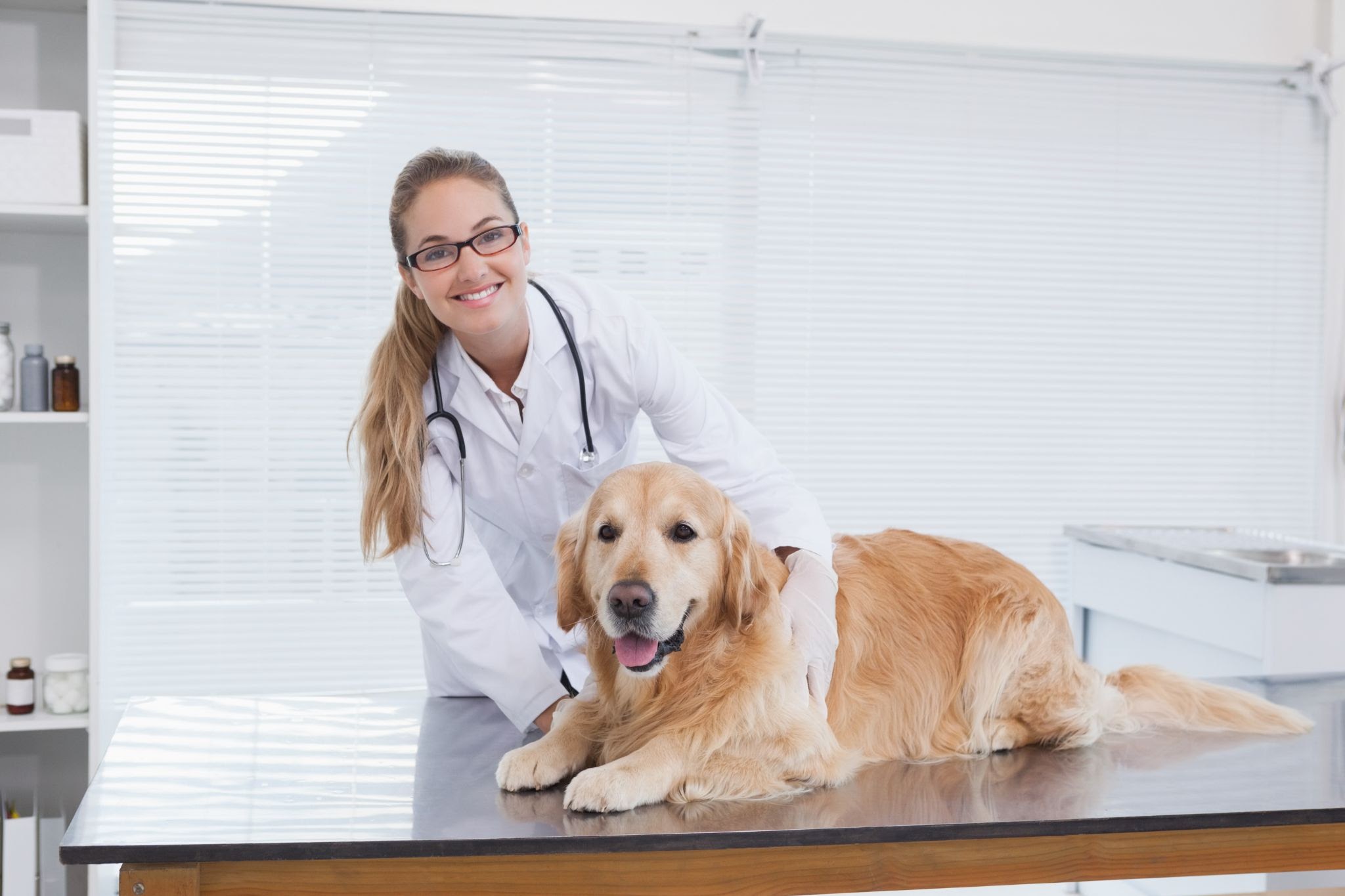 lady-doctor-with-a-dog