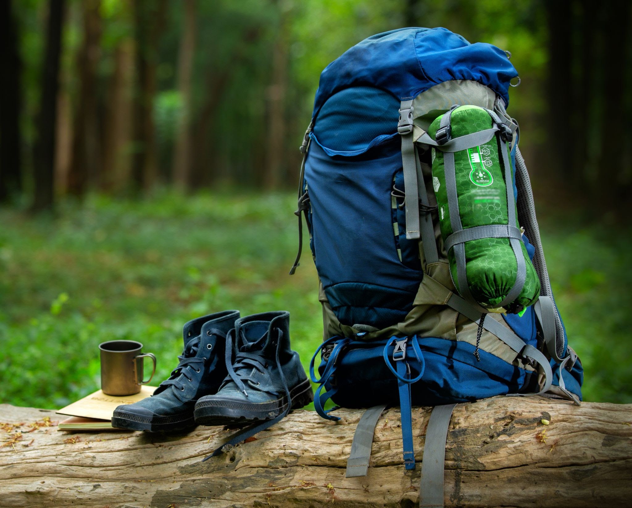 backpack-shows-mug-and-book